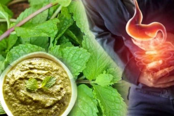 ஆஸ்துமா, வயிற்றுப்போக்கை குணப்படுத்தும் சுவையான புதினா துவையல் செய்வது எப்படி?