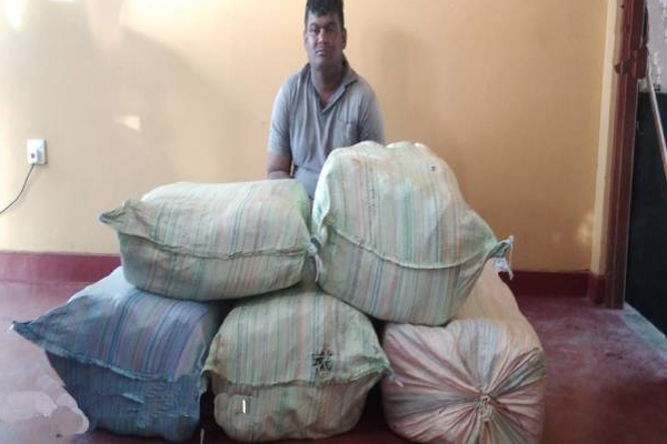 யாழ்ப்பாணத்தில் மர்ம பொருளுடன் கைதான சந்தேகநபர்! | Suspect Arrested With Cannabis In Jaffna