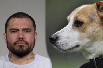 බල්ලෙකුගේ වෙඩි තැබීමකින් පුද්ගලයෙක් මියයයි.