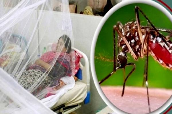 நாடு முழுவதும் தீவிரமடையும் டெங்கு நோய்: பொதுமக்களுக்கு விடுக்கப்பட்ட அறிவுறுத்தல் | Dengue Fever Is Increasing Across The Country நாடு முழுவதும் தீவிரமடையும் டெங்கு நோய்: பொதுமக்களுக்கு விடுக்கப்பட்ட அறிவுறுத்தல் | Dengue Fever Is Increasing Across The Country