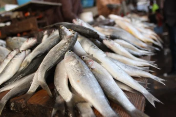 மீன் வகைகளின் விலைகள் மேலும் உயர்வு