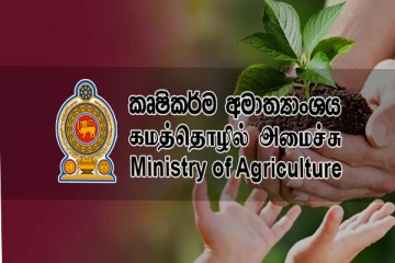 ஆறு வகையான பயிர்களுக்கு வழங்கப்படவுள்ள இலவச காப்புறுதி திட்டம்