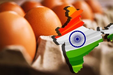 இந்தியாவிலிருந்து முட்டை இறக்குமதி