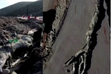 கிரீஸ் நாட்டில் சுமார் 2 கோடி ஆண்டுகள் பழமையான புதை படிவ மரம் கண்டுபிடிப்பு