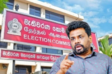 சுயாதீனமான தேர்தல்கள் ஆணைக்குழுவை விசாரிக்க நாடாளுமன்ற தெரிவுக்குழுவை நிறுவுவது நெறிமுறையல்ல