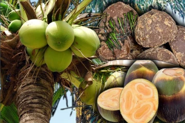 உள்ளூர் உற்பத்தி பொருட்களின் ஏற்றுமதி தடைகளை நீக்க அதிரடி நடவடிக்கை