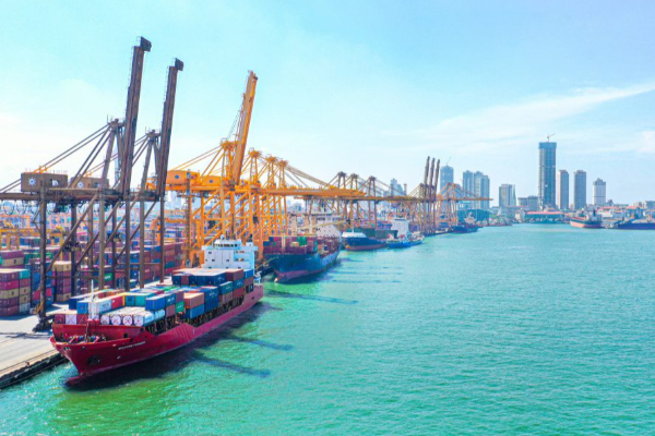கொழும்பு துறைமுகத்தில் ஏற்பட்ட அனர்த்தம் - ஒருவர் உயிரிழப்பு | Colombo Port Container Yard Accident Today