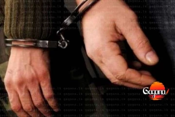 ආවා කල්ලියේ සාමාජිකයින් රදවාගන ප්‍රශ්න කරයි