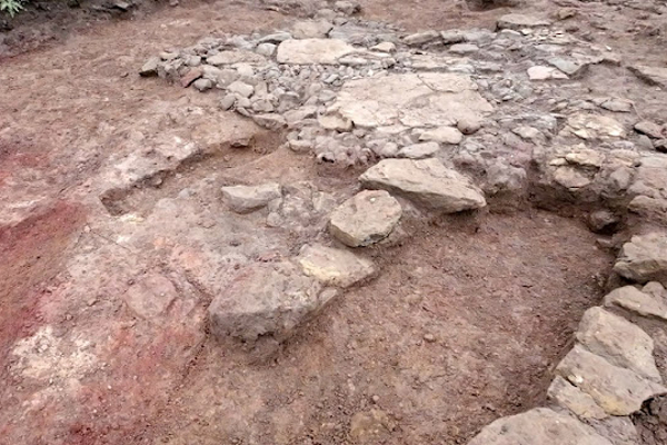 14,000 ஆண்டுகள் பழமையான குடியிருப்பு! களுத்துறையில் கண்டுபிடிப்பு - ஐபிசி தமிழ்