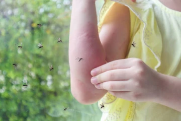 நாட்டில் ஜூன் மாதம் டெங்கு பரவல் அதிகரிப்பு