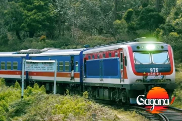 දුම්රිය ස්ථානයේ උණුසුම් තත්වයක් - විදේශිකයන් අමාරුවේ