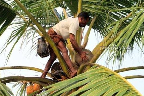 இலங்கையில் இருந்து கனடாவுக்கு ஏற்றுமதி செய்யப்படும் பானம்! | Beverage Exported From Sri Lanka To Canada