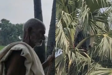 மனைவி அடிக்குறா - வாழ்க்க வெறுத்து மரத்துல வாழும் விசித்திர கணவன்!