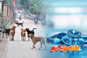 2024இல் நாய் கடிக்குள்ளாகிய ஒரு இலட்சத்து 80 ஆயிரம் பேர்
