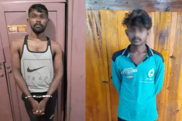 கொள்ளை சம்பவங்களில் ஈடுபட்ட சகோதரர்கள் கைது