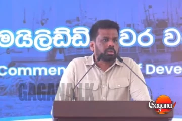 "මම අද හවස කච්චතිව් දූපතට යනවා" - තලපති විජේ නිසා ජනපති සීරුවෙන්