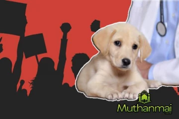 கால்நடை மருத்துவர்கள் அடையாள வேலைநிறுத்தம்