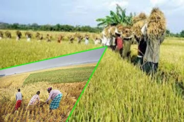 கிளிநொச்சி சிறுபோக செய்கையின் அறுவடைகள் ஆரம்பம்