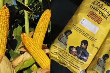 வழமைக்கு திரும்பிய திரிபோஷ உற்பத்தி மற்றும் விநியோகம்