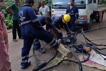தெகிவளை மிருகக்காட்சி சாலையில் இடம் பெற்ற சோக சம்பவம்