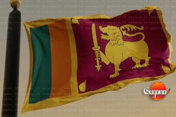 ‘ශ්‍රී ලාංකික දිනය’ ජාතික වැඩසටහනට අමාත්‍ය මණ්ඩල අනුමැතිය