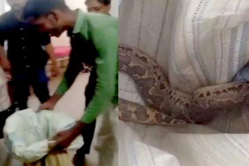 மனைவியை கடித்த பாம்பை மருத்துவமனைக்கு அழைத்துச் சென்ற கணவன்!