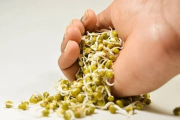 தினமும் இதை 1கப் சாப்பிடுவதால் கிடைக்கும் ஏராள நன்மைகள்!