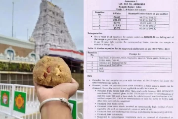 திருப்பதி லட்டில் மாட்டிறைச்சி, பன்றி கொழுப்பு; ஆய்வில் உறுதி - அதிர்ந்த பக்தர்கள்