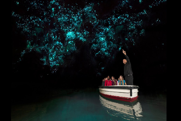 உலகில் இரவில் ஒளிரும் அற்புதமான இடங்கள் பற்றி தெரியுமா..! | Places That Glow In The Dark World