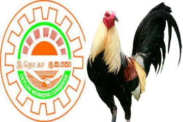 சேவல் சின்னத்தில் போட்டியிடும் இலங்கை தொழிலாளர் காங்கிரஸ்