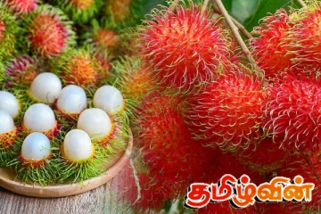 ரம்புட்டானை உட்கொள்ளும் பொதுமக்களிடம் விசேட கோரிக்கை