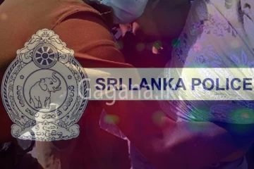 තනියම ගෙදර ඉන්නවා නම් ළමයින්ගෙනුත් පරිස්සම් වෙන්න.- නිවෙස් වලට පනින ළමා කල්ලියක්.