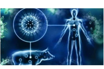 பழனியில் ஒருவருக்கு பன்றி காய்ச்சல் உறுதி..!