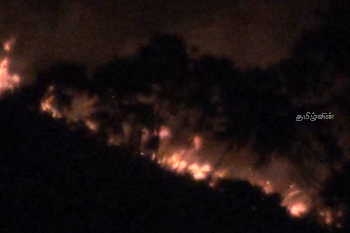 கொட்டகலை- ஸ்டோனிகிளிப் வனபாதுகாப்பு பகுதிக்கு தீ வைப்பு! | Fire Kotagala Stonycliffe Forest Reserve Shortly