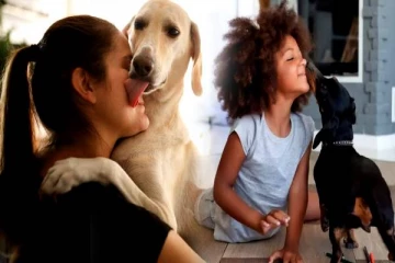 மனிதர்களை ஏன் நாய்கள் நாவால் வருடுகிறது தெரியுமா? பலரும் அறிந்திடாத அறிவியல்