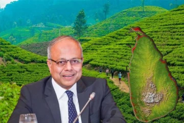 இலங்கையில் சுற்றுலாப் பயணிகளைக் கவர்வதற்கு புதிய திட்டம்