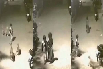 சுற்றி வளைத்த நாய்க்கூட்டம்: எஸ்கேப் ஆன தங்கை! ஆனால் சிறுவனின் தெறிக்கவிடும் செயல்