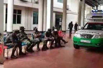 குளவிக் கொட்டுக்கு இலக்கான ஐவர் வைத்தியசாலையில் அனுமதி