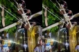 මහ වැසි මැදින් ආ මාරයා - බිහිසුණු අනතුරක් - එක් අයෙක් ජීවිතක්ෂයට - 10 ට තුවාල