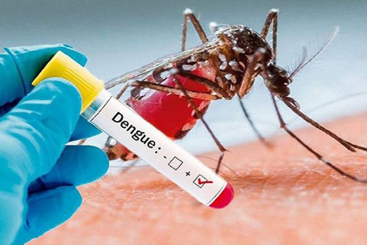 டெங்கு நோயினால் உயிரிழந்தவர்களின் எண்ணிக்கை 50 ஆக அதிகரிப்பு | Dengue Death Toll Rises To 50 டெங்கு நோயினால் உயிரிழந்தவர்களின் எண்ணிக்கை 50 ஆக அதிகரிப்பு | Dengue Death Toll Rises To 50
