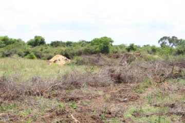 தமிழர்களை விரட்டியடிக்கும் நோக்கில் முல்லைத்தீவின் எல்லைக் கிராமங்களில் பௌத்தமயமாக்கல் தீவிரம் (Photos)