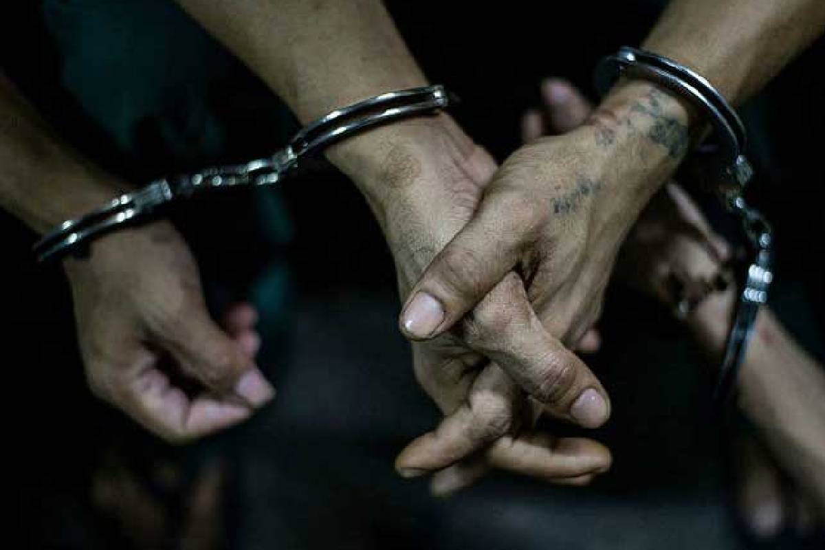 யாழ். வேலணையை அச்சுறுத்திய மாட்டு திருட்டுக் கும்பல் கைது! | Cow Theft Gang Arrested In Velanai யாழ். வேலணையை அச்சுறுத்திய மாட்டு திருட்டுக் கும்பல் கைது! | Cow Theft Gang Arrested In Velanai
