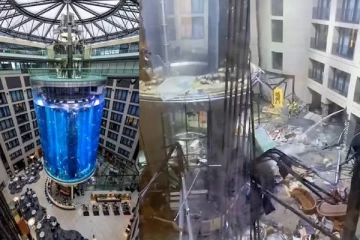 46 அடி உயரம்... துடிதுடித்து உயிரிழந்த 1500 மீன்கள்! வெடித்து சிதறிய மீன்தொட்டி