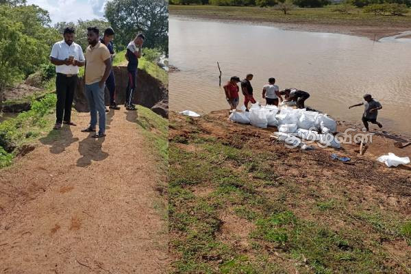 மழை காரணமாக உடைப்பெடுத்த வவுனியா - கோதாண்டர் நொச்சிக்குளம் புனரமைப்பு | Vavuniya Kothander Nochchikulam Damaged