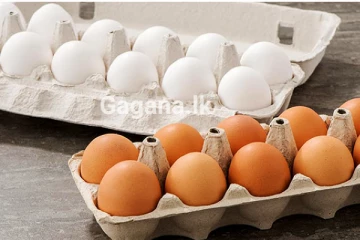 යළිත් බිත්තර මිල ඉහළට..එළවළු මිල දැනෙන ගණනකින් පහළට..