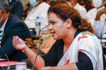 புலம்பெயர் தமிழர்களுக்கு சந்தர்ப்பம் கொடுங்கள்; பெண் எம் பி