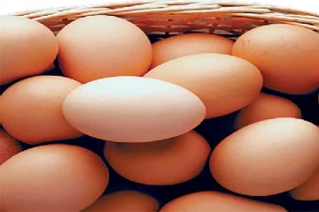 முட்டை பிரியர்களுக்கு மகிழ்ச்சியான தகவல்