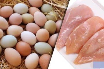 කවුරුත් නොසිතූ මිලකට බිත්තරයක් සහ කුකුල් මස් මිල ඉහළ යයි...අලුත් මිල මෙන්න..