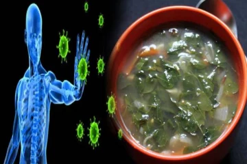 நோயெதிர்ப்பு சக்தியை அதிகரிக்கும் முருங்கை கீரை சூப்... இப்படி செய்து பாருங்க