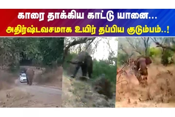 காரை தாக்கிய காட்டு யானை - அதிர்ஷ்டவசமாக உயிர் தப்பிய குடும்பம்